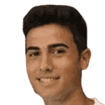 Y. Mertoğlu